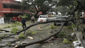 पंजाब में बारिश का अलर्ट, चंडीगढ़ में ठंड से मौत:मोहाली में 24 घंटे से बिजली गुल कई जगह यातायात ठप