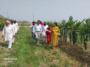 ਪੰਜਾਬ – ਨਾਬਾਰਡ ਵੱਲੋਂ ਵਿੱਤਪੋਸ਼ਿਤ ਪ੍ਰੋਜੈਕਟ ਦੇ ਤਹਿਤ ਕਿਸਾਨਾਂ ਦਾ ਇੱਕ ਐਕਸਪੋਜ਼ਰ ਦੌਰਾ