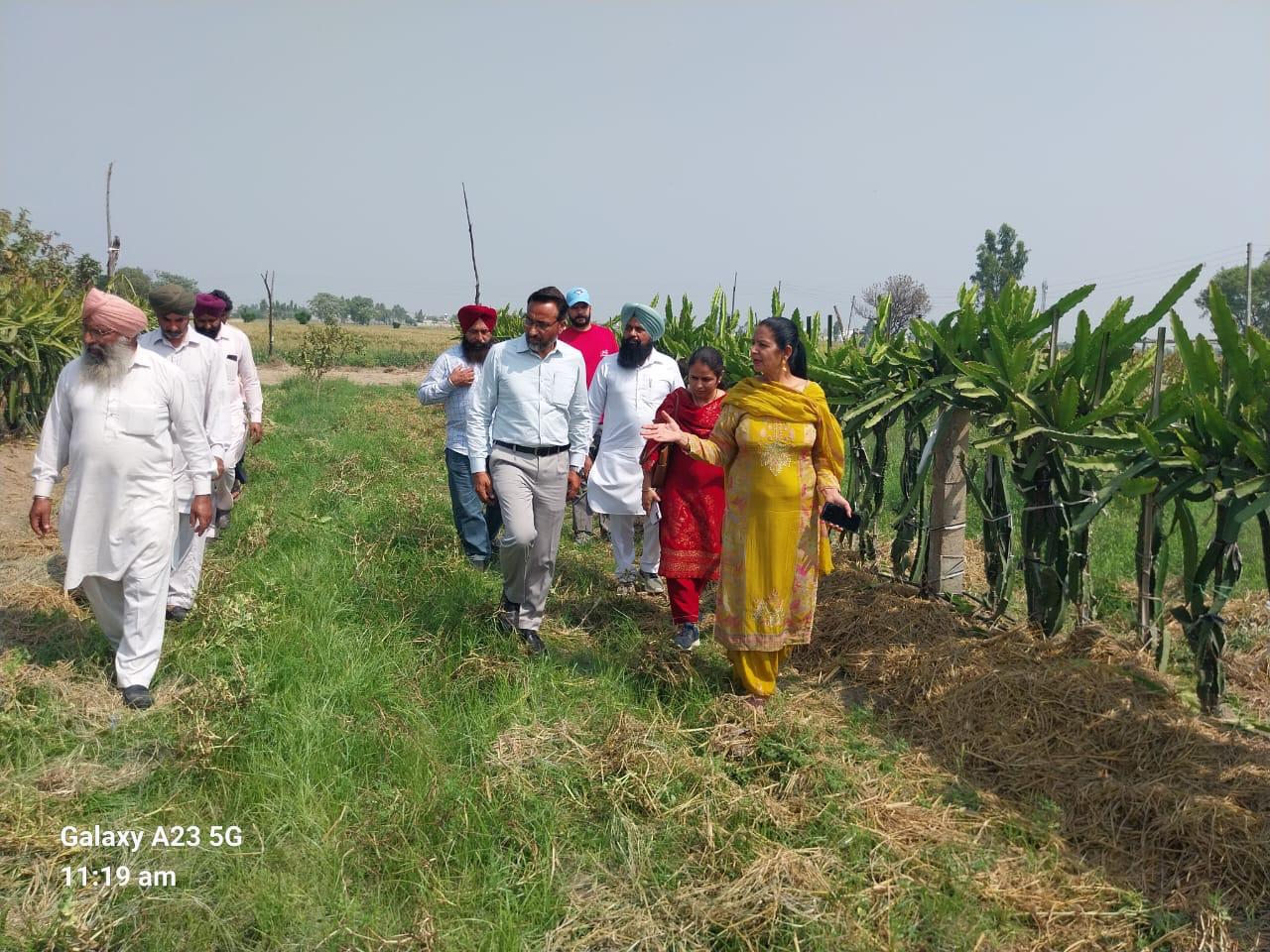 ਪੰਜਾਬ – ਨਾਬਾਰਡ ਵੱਲੋਂ ਵਿੱਤਪੋਸ਼ਿਤ ਪ੍ਰੋਜੈਕਟ  ਦੇ ਤਹਿਤ ਕਿਸਾਨਾਂ ਦਾ ਇੱਕ ਐਕਸਪੋਜ਼ਰ ਦੌਰਾ