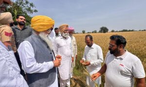 ਖੇਤੀਬਾੜੀ ਮੰਤਰੀ ਨੇ ਪਿੰਡ ਚੰਨੂ ਵਿਖੇ ਹੋਏ ਫਸਲਾਂ ਦੇ ਨੁਕਸਾਨ ਦਾ ਲਿਆ ਜਾਇਜ਼ਾ