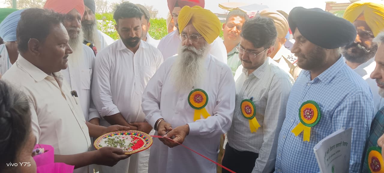 ਖੇਤੀਬਾੜੀ ਯੂਨੀਵਰਸਿਟੀ ਦੀਆਂ ਸ਼ਿਫਾਰਸ਼ਾਂ ਅਨੁਸਾਰ ਕੀਤੀ ਜਾਵੇ ਫਸਲਾਂ ਦੀ ਕਾਸ਼ਤ:ਖੁੱਡੀਆਂ